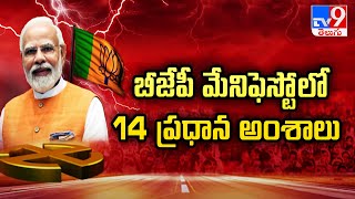 బీజేపీ మేనిఫెస్టోలో 14 ప్రధాన అంశాలు  BJP Manifesto 2024 Highlights  PM Modi  TV9 [upl. by Enyaw748]