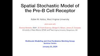 WG Virtual Seminars Halasz PreB Cell Receptors January 25 2024 [upl. by Leber]