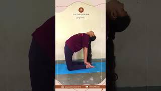 Ustrasana Camel Pose yogaflow yogaworkout yogabody bodypositiveyoga poweryoga [upl. by Auhsuj]