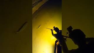 BLOWGUN FISHING PESCA CON LA CERBOTTANA shorts reels fishing blowgun fishingvideo [upl. by Ahsrav]