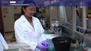 How to Control Contamination in PCR lab [upl. by Jerusalem651]