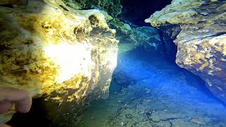 Ginnie Springs Cave Dive to Worm Hole [upl. by Becki14]