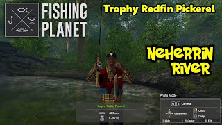 Trophy Redfin Pickerel Neherrin River  Fishing Planet [upl. by Eidlog]