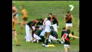 1984 VFL Grand Final September 29 1984 Final Quarter [upl. by Idnew]