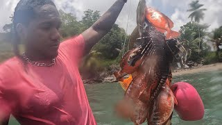 Spearfishing Grenada almost got run over by a boat while spearfishing [upl. by Mccollum]