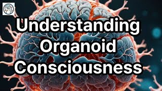 Understanding Organoid Consciousness The Next Frontier in Neuroscience and Ethics [upl. by Aicilyt315]