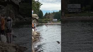 Cliff jumping in Gabriola [upl. by Arbuckle]