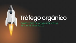 TRAFEGO ORGANICO  Guia COMPLETO Para VENDER qualquer coisa SEM INVESTIR NADA [upl. by Alver]