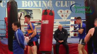 Limerick senior hurlers chat about the upcoming Night of Boxing Fundraiser [upl. by Eletnahs]