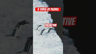 Why Humans and Penguins Are So Similarproactive funnymemes asmrvideo officememes [upl. by Sikram727]