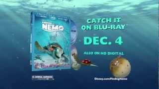 Finding Nemo  Available on Bluray Combo Pack December 4 [upl. by Nedra171]