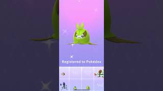 Evolving Shiny Sewaddle to Shiny Leavanny  Pokemon Go [upl. by Gershom]