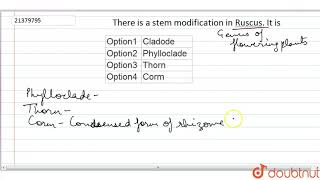 There is a stem modification in Ruscus It is [upl. by Airrehs]