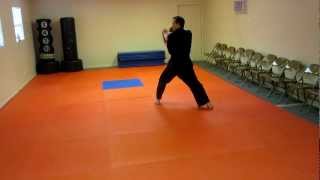 ChonJi Tae Kwon Do Form Explained Step by Step [upl. by Roswald]