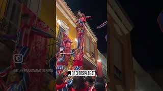 Pi que es va desplegant de baix cap a dalt com el «Pilar aixecat per sota» dels castellers catalans [upl. by Artnoed]