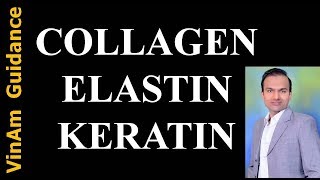 Collagen Elastin and Keratin [upl. by Itsuj]