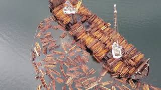 Seaspan King towing the log barge Seaspan Survivor [upl. by Retnuh]