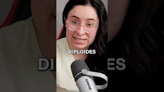 CÉLULAS DIPLOIDES vs HAPLOIDES ubaxxi uba biologia [upl. by Einnij896]