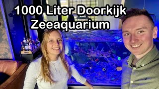 Nieuw 1000 Liter DoorkijkZeeaquarium Daniëllevlog [upl. by Gladwin]