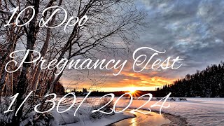 10 DPO Pregnancy Tests 13024 [upl. by Nageek]