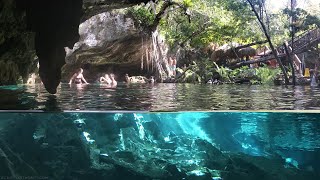 Cenotes of Tulum Mexico  Cancun Snorkeling [upl. by Salsbury]