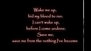 Evanescence Amy Lee Wake me up Inside Lyrics [upl. by Heidi]