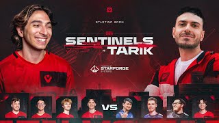 Sentinels vs Tarik Showmatch Powered by Starforge [upl. by Attenyt]