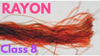 Rayon class 8 in hindi  How rayon is made in hindi  Uses of rayon  DARSHAN CLASSES [upl. by Onairam]