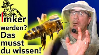 Bienen halten für Anfänger Tipps für ImkerNeulinge  die wichtigsten Antworten auf eure Fragen [upl. by Hilary999]