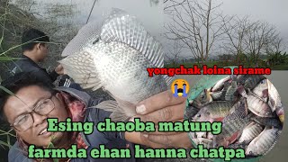 Matam kuirabagi tungda farm da chatpa fish fishing angling fishfarming nawathouram [upl. by Schiff]