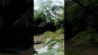 Vaani green resort kaziranga Assam [upl. by Nahsar822]