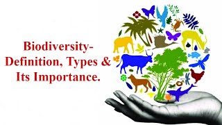 BiodiversityDefinition Types Of Biodiversity Importance of Biodiversity [upl. by Xuagram389]