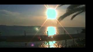 Cafe Mambo Live Sunset Stream [upl. by Dniren]