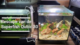 Dutch De Superfish Qubiq 30 Aquarium rescapen  ExoticAquaticanl [upl. by Faun]