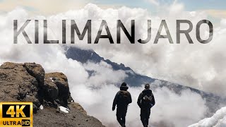 Hiking Kilimanjaro via Lemosho Route 2024 [upl. by Haleak]