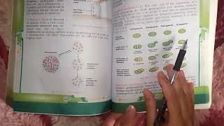 SPECIATION WITH ITS TYPES DETAILED EXPLANATION FROM NEW BOOKXII BIOLOGY CHAPTER 24 EVOLUTION [upl. by Yalc835]