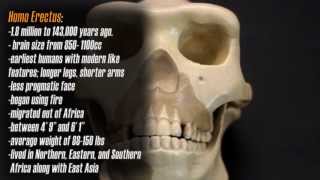 Homo Habilis Documentary  Part 1 quotInto Our Pastquot [upl. by Ahsinit268]