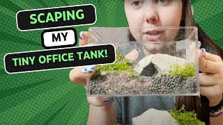 Scaping My Office Tank [upl. by Dorina384]