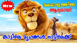 Conference of Animals 2010 Movie Explained in Malayalam l be variety always [upl. by Ruggiero]