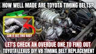 How Well Made are Toyota Timing Belts Lets Check an OVERDUE One  DIY V8 Timing Belt [upl. by Ortiz174]