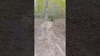 abandon mine entrance hauntedohio backroads explore paranormal hidden lost [upl. by Neeleuqcaj997]