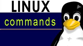 Linux commands cd how to change directories in Linux Moving around [upl. by Syla38]