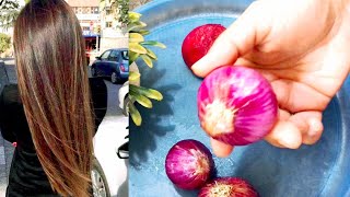 Onion Hair Oil Remedy  Best Long Hair Oil  Almas Kitchen Menu [upl. by Braca]