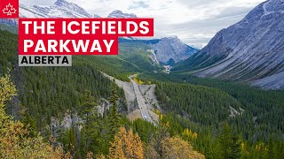 Driving the ICEFIELDS PARKWAY from Lake Louise to Jasper Alberta [upl. by Sadiras]