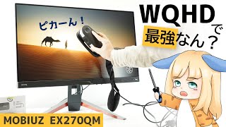 MOBIUZ EX270QMは最強のWQHDゲーミングモニターですか？【モニター測定オタクが検証した結果･･･】 [upl. by Yenalem14]