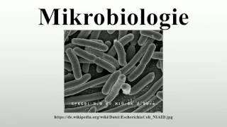 Mikrobiologie [upl. by Nefets]