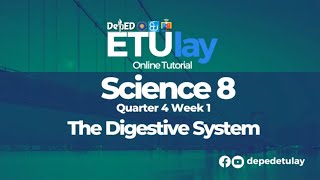 The Digestive System  Grade 8 Science Quarter 4 Week 1 [upl. by Noterb752]