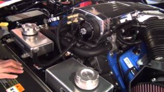 GT500 Super Snake upgrades at Shelby American Motorsports 2 of 3 [upl. by Gibbon618]