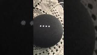 Google Home Assistant Mini Screams And Disappears [upl. by Dougherty]