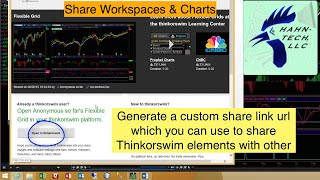 Thinkorswim Shared Workspace [upl. by Adalard]